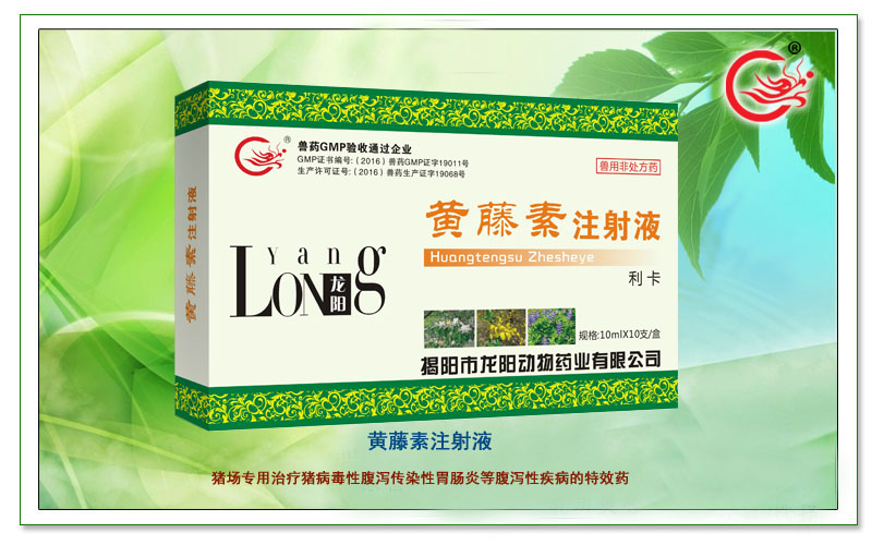 黄藤素注射液,龙阳利卡,预防仔猪病毒性腹泻传染、胃肠炎等疾病的特效药