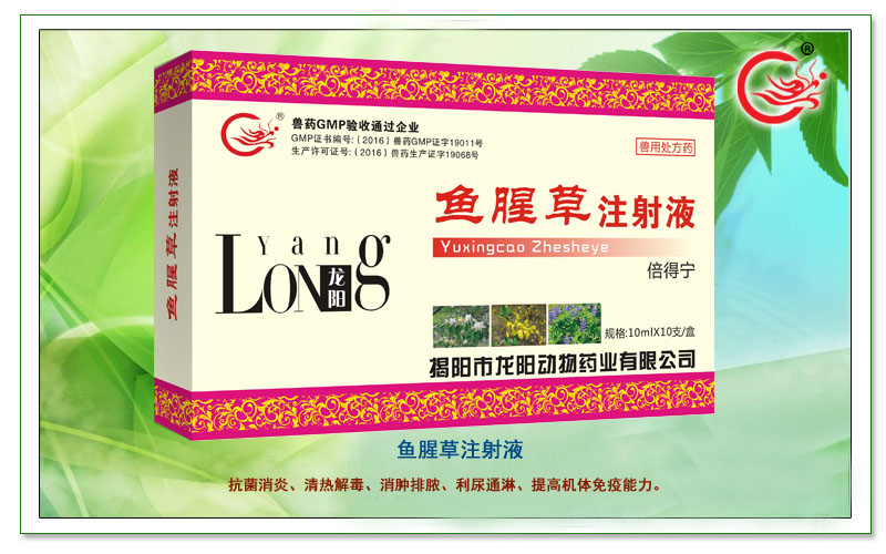 鱼腥草注射液,龙阳倍得宁,能迅速消炎、消肿，提高机体免疫力 