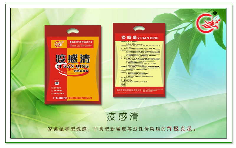 疫感清,龙阳荆防败毒散，主治各种传染性病毒，提高机体免疫力