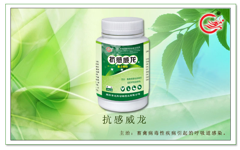 抗感威龙,龙阳板青颗粒专治畜禽病毒引起的呼吸道感染