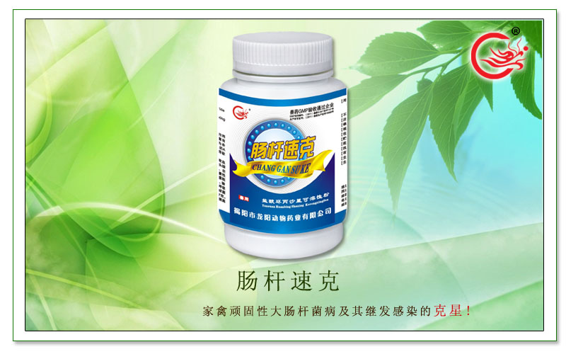 肠杆速克,防治禽顽固性大肠杆菌病，提高成活率