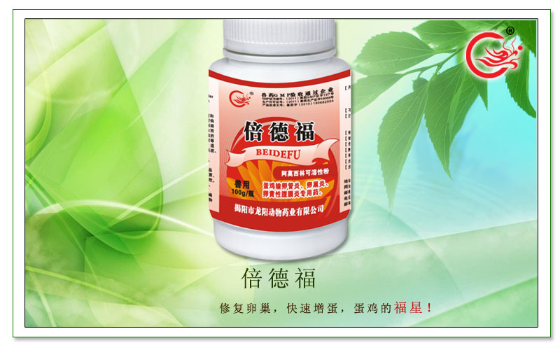 倍德福，快速修补蛋禽生殖机能，提高产蛋率、延长产蛋高峰期