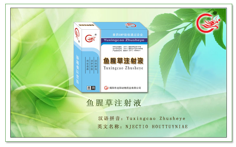 鱼腥草注射液，用于治疗畜禽各种下痢疾病