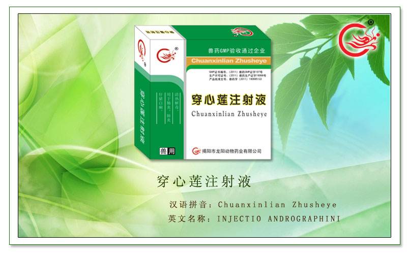 穿心莲注射液,用于肠炎、肺炎、仔猪白痢