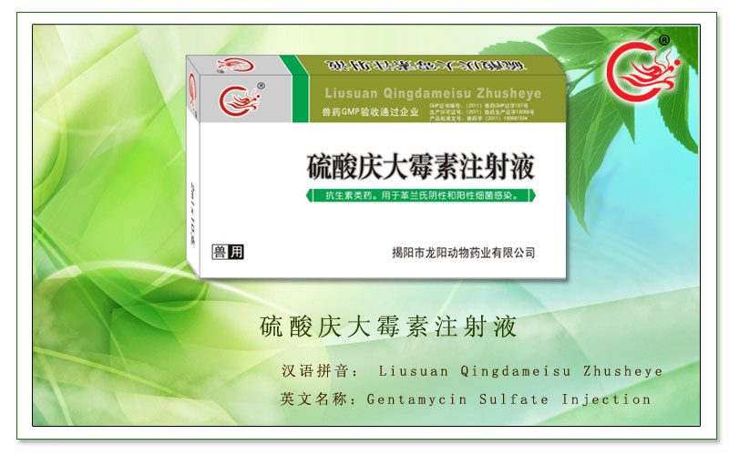 硫酸庆大霉素注射液，治疗各种肠道秆菌疾病，有效预防革兰氏细菌感染