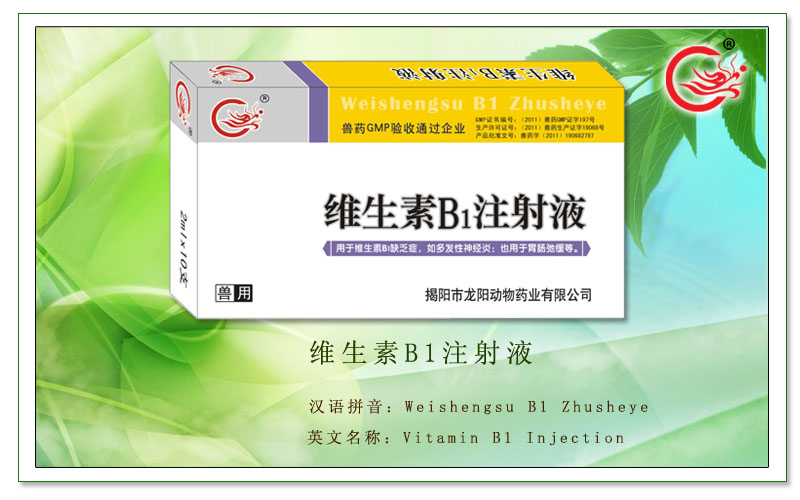 维生素 B1 注射液，防治维生素 B1 缺乏症，各种原因引起的疲劳和衰竭