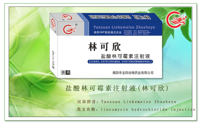盐酸林可霉素注射液，用于治疗畜禽革兰氏阳性菌感染、慢性呼吸道病
