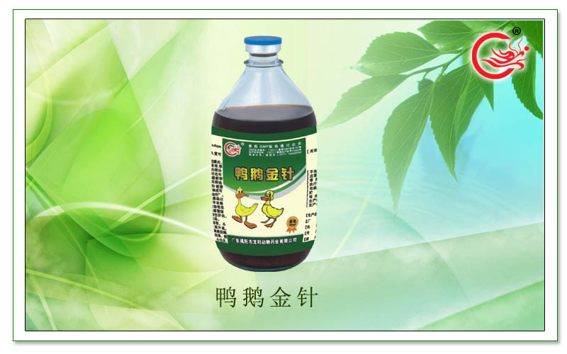 鸭鹅金针，主治鸭、鹅流行性感冒综合症、肠炎、腹泻等，有效抗病毒