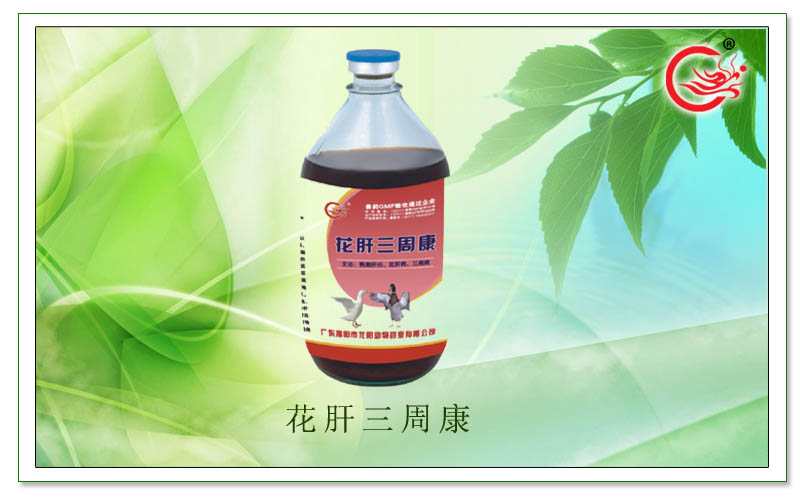 花肝三周康，主治疗于鸭 鹅肝炎 三周病 细小病毒病 花肝病 