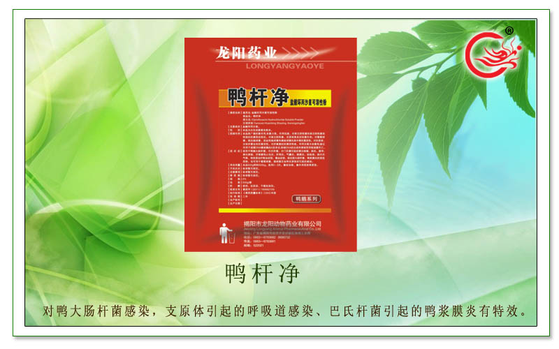 鸭杆净，适用于鸭鹅沙门氏菌、各种炎症引起的混合感染