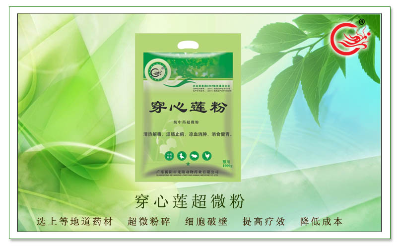 穿心莲超微粉,增强畜禽机体抵抗力，改善消化率、促生长