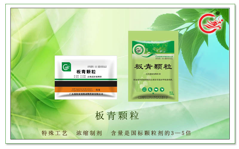 板青颗粒，防治各种细菌病毒混合感染引起的呼吸道疾病