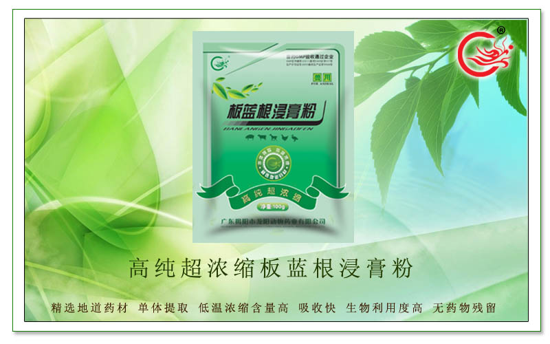 高纯超浓缩板蓝根浸膏粉，治疗畜禽各种传染性呼吸道疾病，增强免疫力