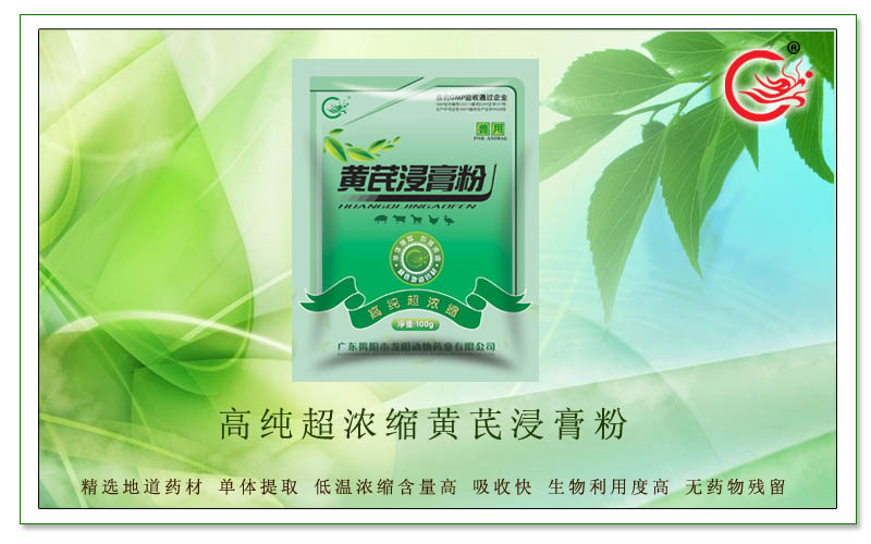 高纯超浓缩黄芪浸膏粉，有效预防猪肺炎感染、呼吸衰竭各种综合症