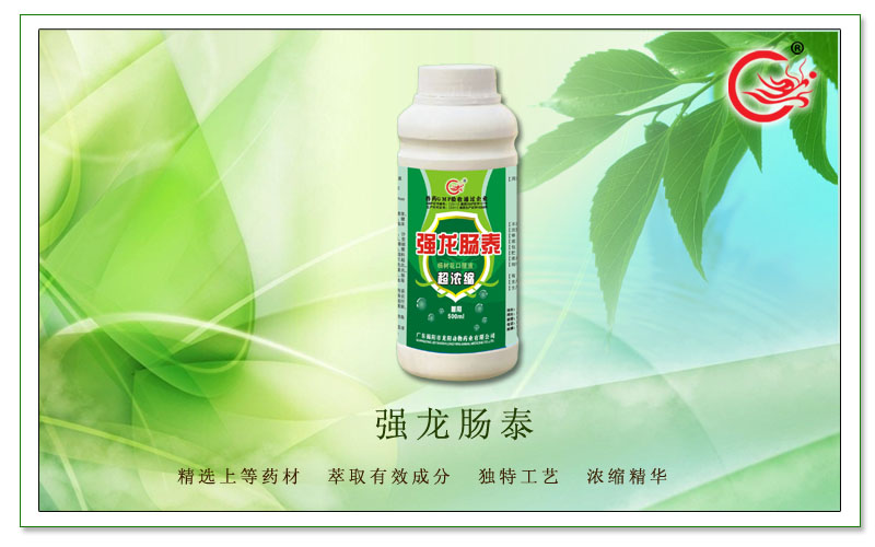 强龙肠泰，​主治畜禽各种原因引起的肠道感染