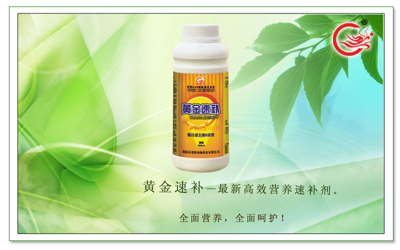 黄金速补，快速补充维生素，提高机体应激能力、减少疾病发生