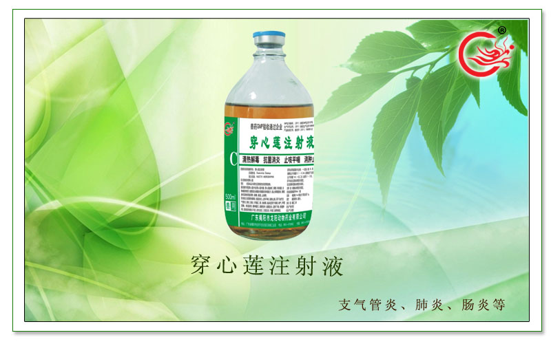 穿心莲注射液.jpg