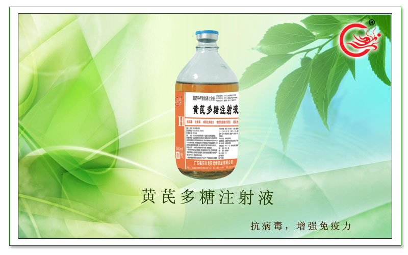 黄芪多糖注射液.jpg