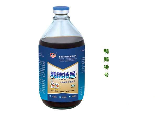 鸭鹅特号.jpg